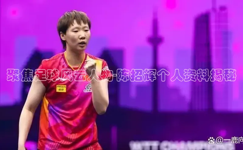 头号玩家官方网站天下秀聚焦足球风云人物-陈招辉个人资料揭秘