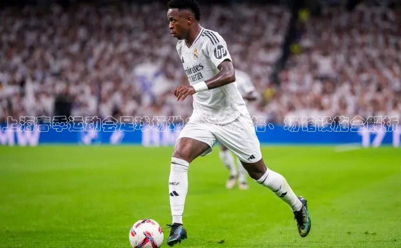 头号玩家龙8官方网站百度集团上海春季运动会足球场地：比赛规格、场馆设施全解析