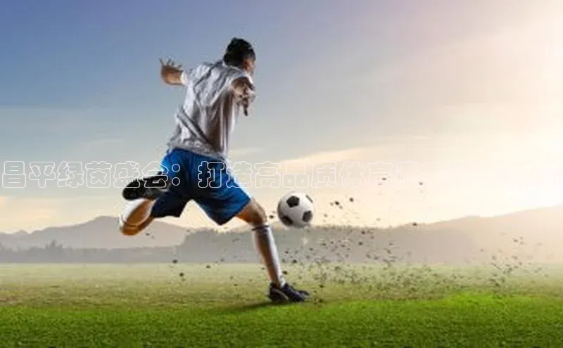 昌平绿茵盛会：打造高品质体育赛事承办体验