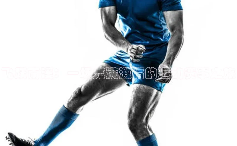 飞跃南溪：一场充满激情的运动赛事之旅