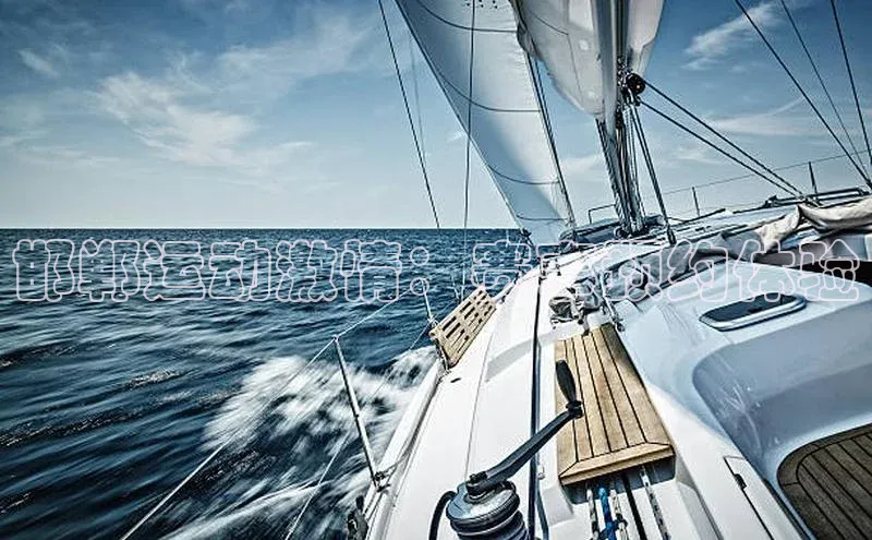 邯郸运动激情：赛事预约体验