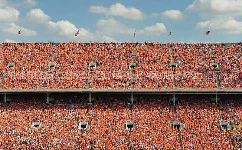 捕捉精彩瞬间：如何利用运动赛事照片参与摄影比赛或展示作品