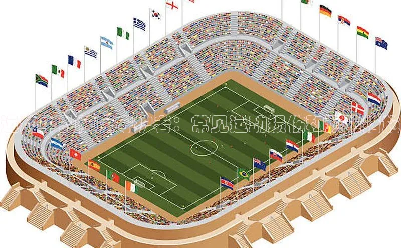 运动中的健康守护者：常见运动损伤和预防措施