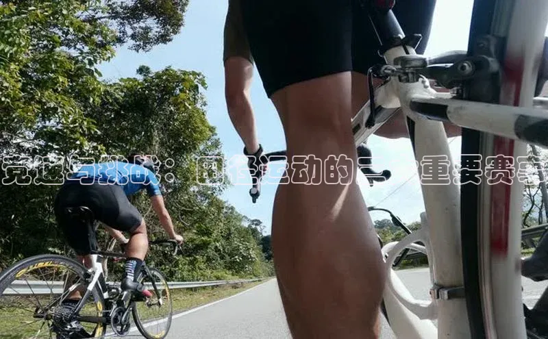 竞速与挑战：田径运动的三大重要赛事