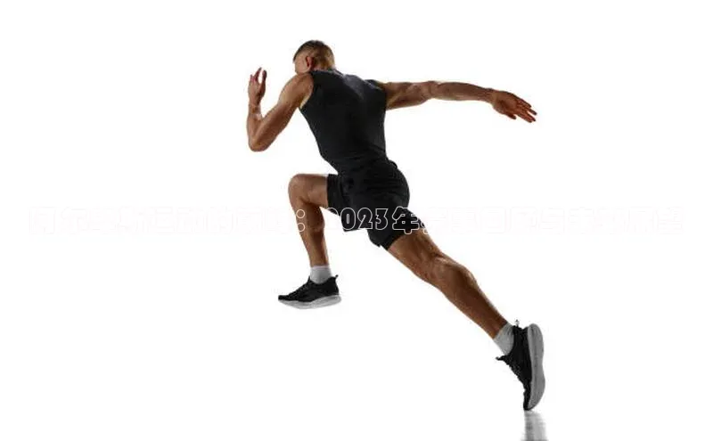 阿尔卑斯运动的巅峰：2023年赛事回顾与未来展望