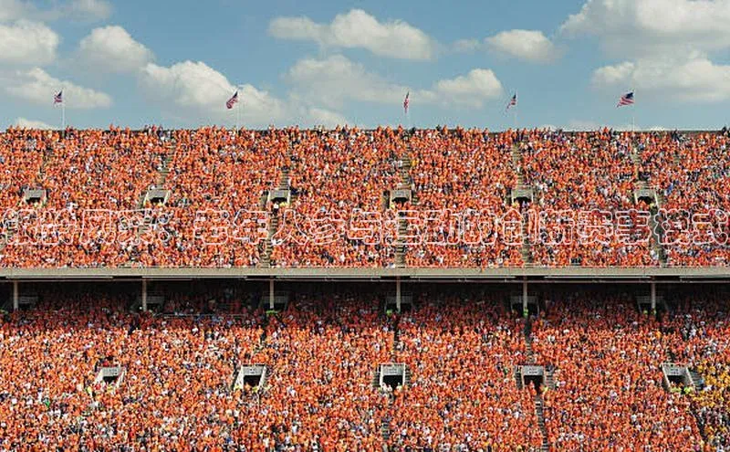 银龄风采：老年人参与运动的创新赛事模式