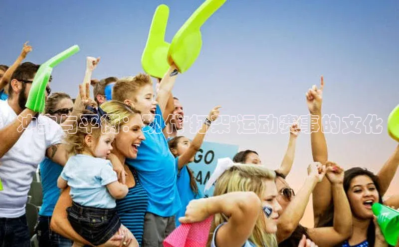 冲突与平衡：现代\'打架\'运动赛事的文化