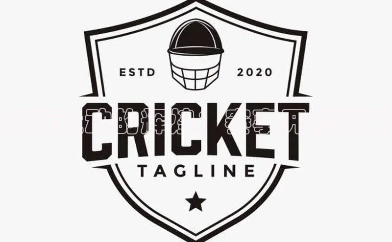 浆板运动的辉煌：赛事开幕瞬间