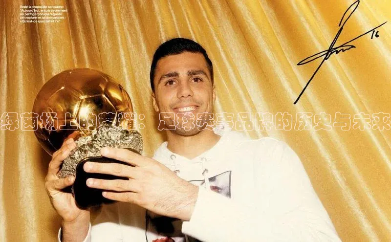 绿茵场上的荣耀：足球赛事品牌的历史与未来