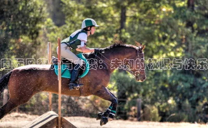 国际风趣体育大赛：未知的极限与快乐