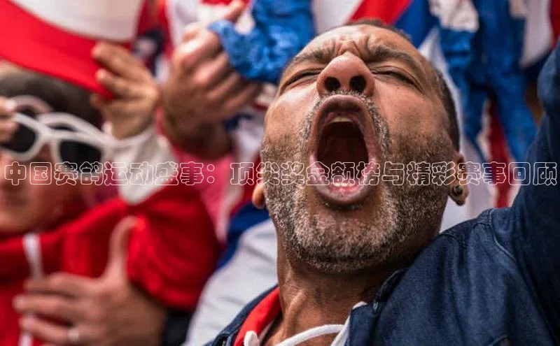 中国赛鸽运动盛事：顶尖奖金额榜与精彩赛事回顾