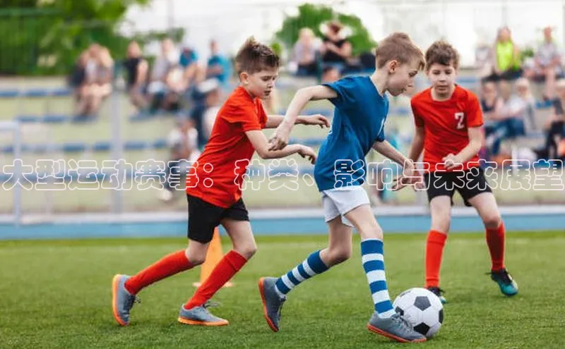 大型运动赛事：种类、影响与未来展望