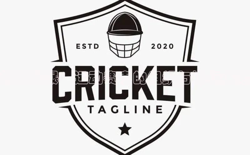 竞技风暴：运动赛事的组织与执行策略