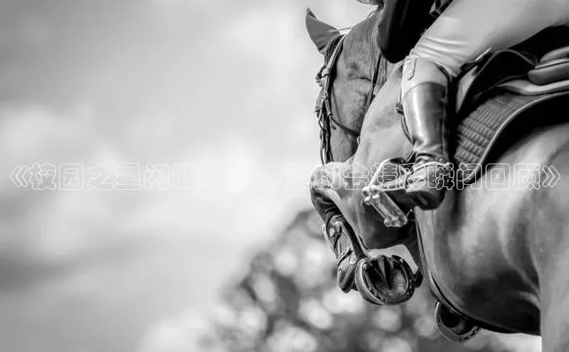 龙8官网手机登入口