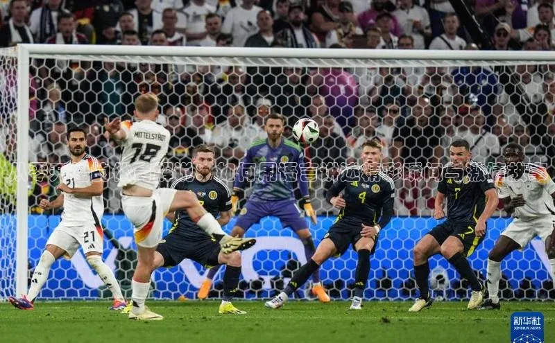 从零开始的体育解说：如何用语言讲述精彩瞬间与激情故事